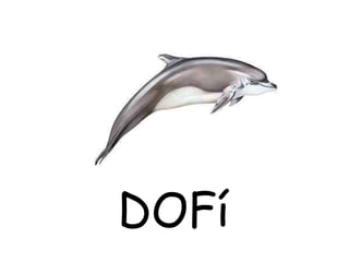 DOFí
 