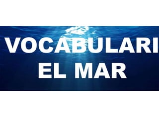 VOCABULARI
EL MAR
 
