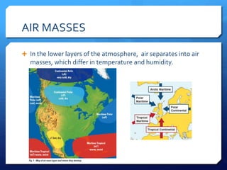AIR MASSES
 In the lower layers of the atmosphere, air separates into air
masses, which differ in temperature and humidity.
 