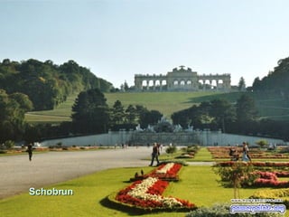 Schobrun 