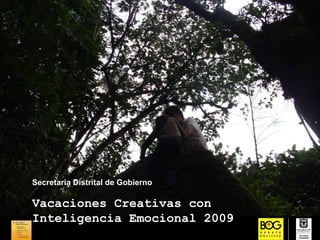 Secretaria Distrital de Gobierno

Vacaciones Creativas con
Inteligencia Emocional 2009
 