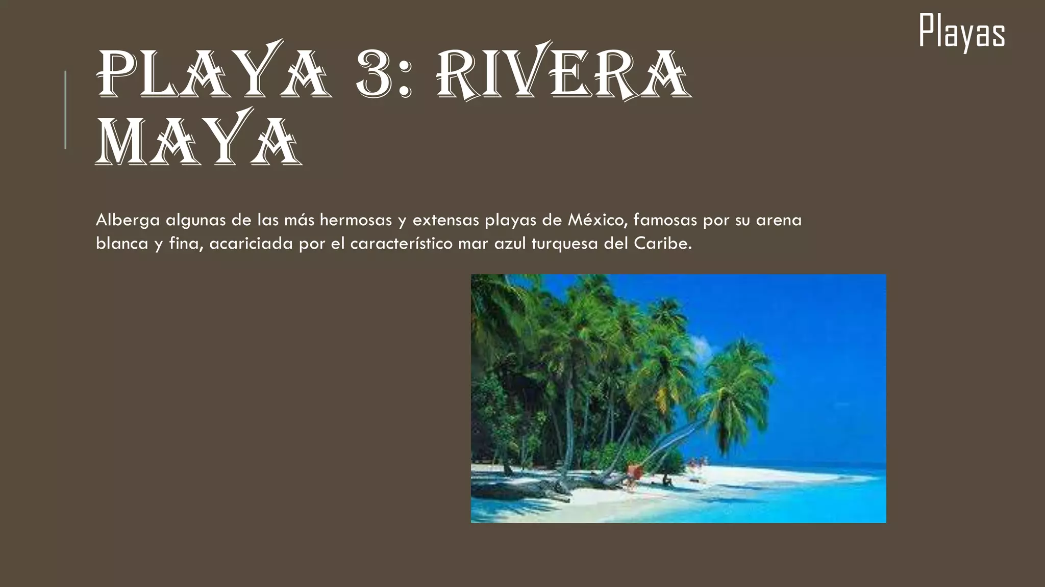 PLAYA 3: RIVERA
MAYA
Playas
Alberga algunas de las más hermosas y extensas playas de México, famosas por su arena
blanca y fina, acariciada por el característico mar azul turquesa del Caribe.