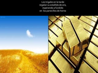 Los trigales en la tarde
regalan su estallido de oro,
esperando a fundido
en los panecillos de horno