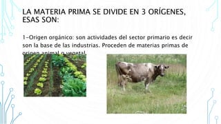 LA MATERIA PRIMA SE DIVIDE EN 3 ORÍGENES,
ESAS SON:
1-Origen orgánico: son actividades del sector primario es decir
son la base de las industrias. Proceden de materias primas de
origen animal o vegetal.
 