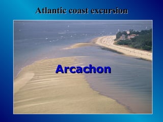 Atlantic coast excursion Arcachon  