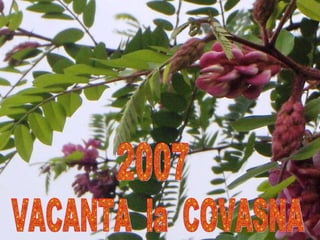 VACANTA  la  COVASNA 2007 