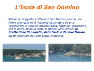 L’Isola di San Domino
Abbiamo alloggiato sull’Isola di San Domino che ha una
forma allungata ed è ricoperta da pinete e da una
vegetazione a macchia mediterranea. Facendo l’escursione
con la barca lungo la costa si aprono varie grotte: la
Grotta delle Rondinelle, delle Viole e del Bue Marino
luoghi incontaminati con acqua cristallina.
 