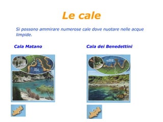 Le cale
Si possono ammirare numerose cale dove nuotare nelle acque
limpide.
Cala Matano Cala dei Benedettini
 