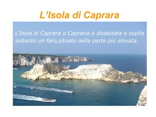 L’Isola di Caprara
L’Isola di Caprara o Capraria è disabitata e ospita
soltanto un faro,situato nella parte più elevata.
 