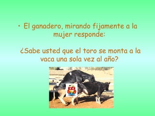 El ganadero, mirando fijamente a la mujer responde:  ¿Sabe usted que el toro se monta a la vaca una sola vez al año?   