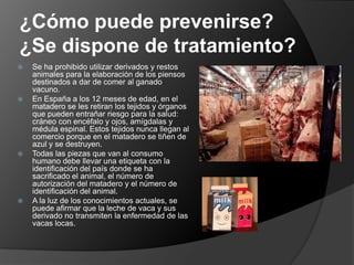 ¿Cómo puede prevenirse? ¿Se dispone de tratamiento?Se ha prohibido utilizar derivados y restos animales para la elaboración de los piensos destinados a dar de comer al ganado vacuno. En España a los 12 meses de edad, en el matadero se les retiran los tejidos y órganos que pueden entrañar riesgo para la salud: cráneo con encéfalo y ojos, amígdalas y médula espinal. Estos tejidos nunca llegan al comercio porque en el matadero se tiñen de azul y se destruyen.Todas las piezas que van al consumo humano debe llevar una etiqueta con la identificación del país donde se ha sacrificado el animal, el número de autorización del matadero y el número de identificación del animal.A la luz de los conocimientos actuales, se puede afirmar que la leche de vaca y sus derivado no transmiten la enfermedad de las vacas locas.