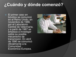 ¿Cuándo y dónde comenzó?El primer caso en bóvidos se comunicó en el Reino Unido, en noviembre de 1986, por el Laboratorio Central de Veterinaria, y a partir de 1987 se empieza a investigar sobre su posible mecanismo de transmisión. En abril de 1990 se comunicó oficialmente a la Comunidad Económica Europea.