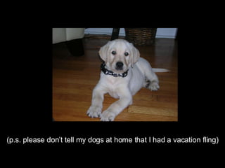 (p.s. please don’t tell my dogs at home that I had a vacation fling)