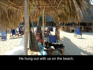 He hung out with us on the beach. 