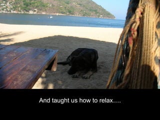 And taught us how to relax…. 
