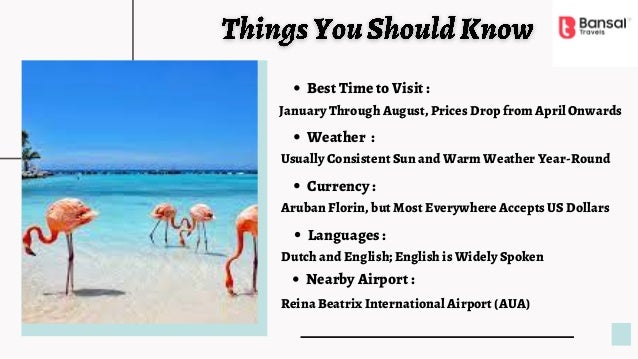 Vacation Packages To Aruba PPT vacation-packages-to-aruba-ppt