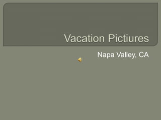 Vacation Pictiures Napa Valley, CA 