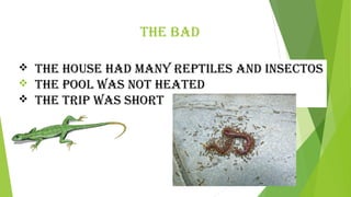The BAD 
 The hOUSe hAD MANY RePTILeS AND INSecTOS 
 The POOL wAS NOT heATeD 
 The TRIP wAS ShORT 
 