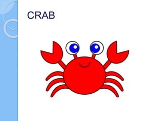CRAB