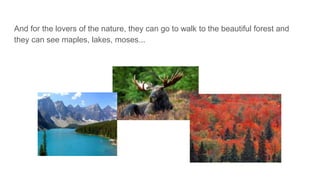 And for the lovers of the nature, they can go to walk to the beautiful forest and
they can see maples, lakes, moses...