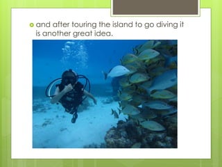  and after touring the island to go diving it
is another great idea.
 