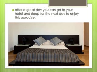  after a great day you can go to your
hotel and sleep for the next day to enjoy
this paradise.
 