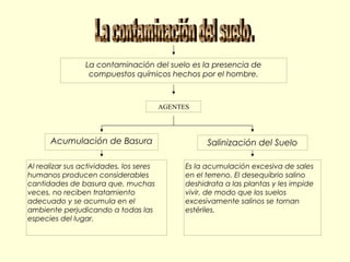 La contaminación del suelo es la presencia de
compuestos químicos hechos por el hombre.
AGENTES
Acumulación de Basura Salinización del Suelo
Al realizar sus actividades, los seres
humanos producen considerables
cantidades de basura que, muchas
veces, no reciben tratamiento
adecuado y se acumula en el
ambiente perjudicando a todas las
especies del lugar.
Es la acumulación excesiva de sales
en el terreno. El desequibrio salino
deshidrata a las plantas y les impide
vivir, de modo que los suelos
excesivamente salinos se tornan
estériles.
 