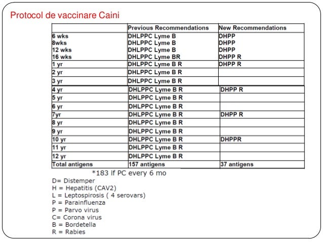 Vaccinarea animalelor de companie principii si scheme de Vaccinare