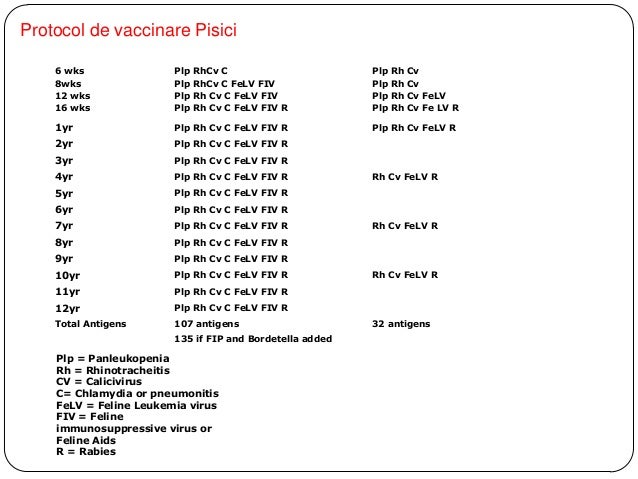 Vaccinarea animalelor de companie principii si scheme de Vaccinare
