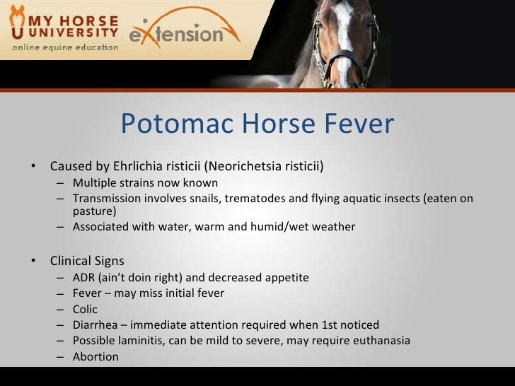 potomac horse fever