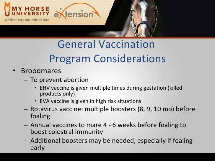 Broodmare Vaccination Chart