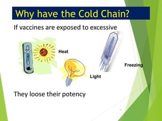 Why have the Cold Chain?
If vaccines are exposed to excessive
They loose their potency
Heat
Freezing
Light
19
 