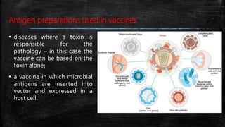 Antigen preparations used in vaccines
▪ diseases where a toxin is
responsible for the
pathology – in this case the
vaccine can be based on the
toxin alone;
▪ a vaccine in which microbial
antigens are inserted into
vector and expressed in a
host cell.
 