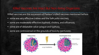 Killed Vaccines Are Intact But Non-living Organisms
Killed vaccines are the successors of Pasteur’s killed vaccines mentioned before:
▪ some are very effective (rabies and the Salk polio vaccine);
▪ some are moderately effective (typhoid, cholera, and influenza);
▪ some are of debatable value (plague and typhus);
▪ some are controversial on the grounds of toxicity (pertussis).
 