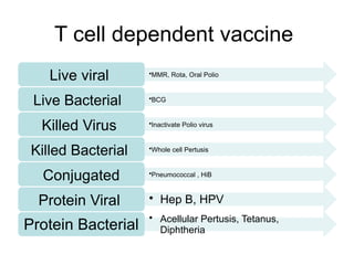 T cell dependent vaccine
Live viral •MMR, Rota, Oral Polio
Live Bacterial •BCG
Killed Virus •Inactivate Polio virus
Killed Bacterial •Whole cell Pertusis
Conjugated •Pneumococcal , HiB
Protein Viral • Hep B, HPV
Protein Bacterial
• Acellular Pertusis, Tetanus,
Diphtheria
 