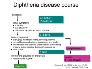 Diphtheria disease course
recovery
death in
5–10% of cases
exposure
initial symptoms
● irritability
● lack of activity
● patches of exudate appear in pharynx
acute symptoms
● thick, grey membrane forms, covering pharynx
● cervical lymph nodes become enlarged and tender
● inflammation and oedema of soft tissues surrounding
pharynx giving classical ‘bull-neck’ appearance
● rapid pulse
membrane sloughs off and acute
symptoms disappear
incubation
(2–5 days)
2–3 days
7 days
complications
1. Wharton & Vitek 2004, In: Vaccines (Ch 13)
2. CDC Pink Book. 2005:55–64
 