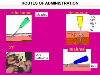 ROUTES OF ADMINISTRATION
subcutaneous intramuscular
intradermal
oral
OPV
Rotavirus
Measles
HBV
DPT
MMR
IPV
Etc
BCG
 