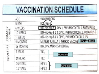 IPV 2nd
dose
Girls only
Boosters
 