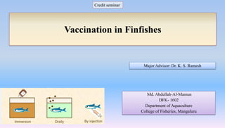 . Credit seminar
Major Advisor: Dr. K. S. Ramesh
Md. Abdullah-Al-Mamun
DFK- 1602
Department of Aquaculture
College of Fisheries, Mangaluru
Vaccination in Finfishes
 