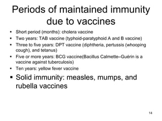 David Haselwood | How vaccines prevent diseases