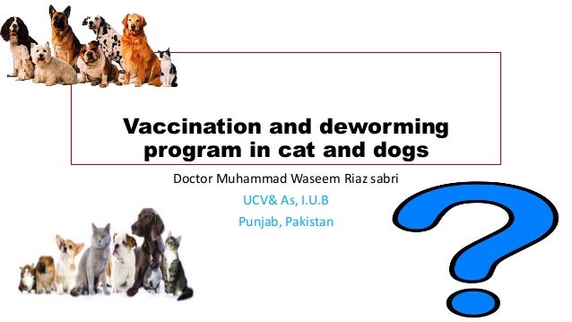 Cat Vaccination Schedule Chart
