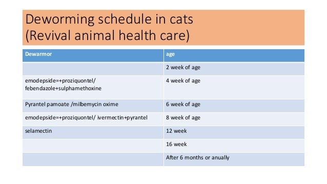 Cat Vaccination Schedule Chart