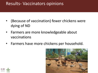 Vaccination as a way forward? A case study on how a poultry vaccination intervention influences poultry keeping in Kenya