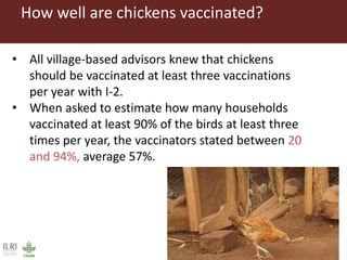 Vaccination as a way forward? A case study on how a poultry vaccination intervention influences poultry keeping in Kenya