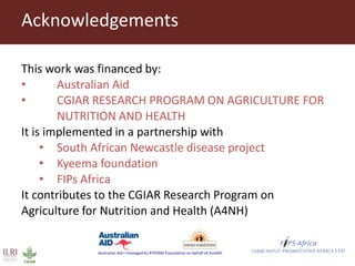 Vaccination as a way forward? A case study on how a poultry vaccination intervention influences poultry keeping in Kenya