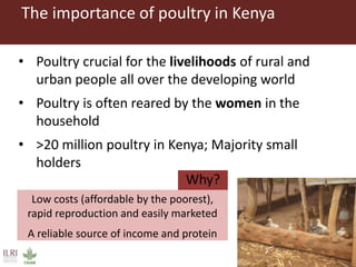 Vaccination as a way forward? A case study on how a poultry vaccination intervention influences poultry keeping in Kenya