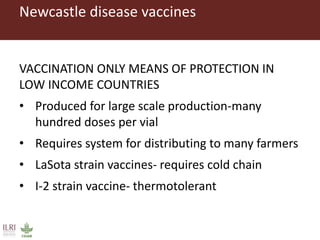 Vaccination as a way forward? A case study on how a poultry vaccination intervention influences poultry keeping in Kenya