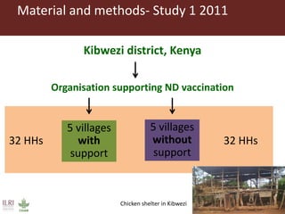 Vaccination as a way forward? A case study on how a poultry vaccination intervention influences poultry keeping in Kenya