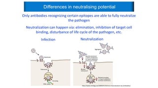 Neutralisation Virus immunological basis of immunological Vaccination.pdf