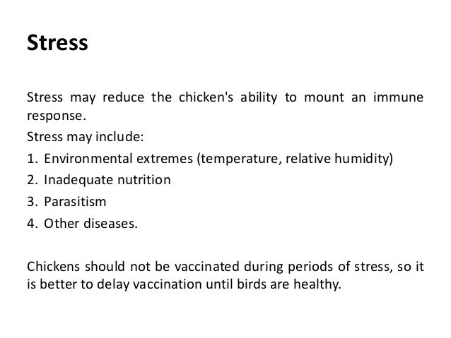 Dossier Vaccination: what causes poultry vaccination to fail
